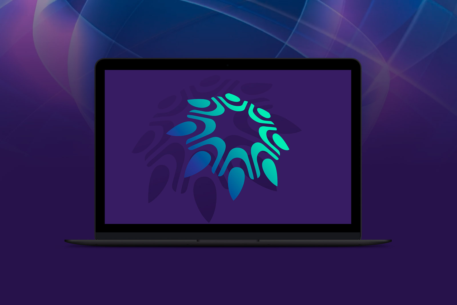 EDW Consulting